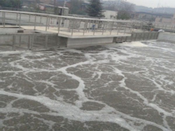 達州第三污水廠污泥處置30.0萬噸/日設施項目