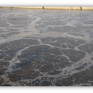 松原市污水廠污泥處置3.0萬噸/日設(shè)施項目